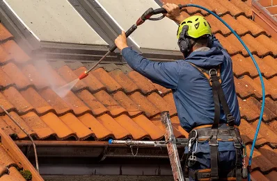 Démoussage et hydrofuge de toiture à la Vernotte